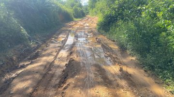 Jalan menuju Dusun Sungai Kelik, Kecamatan Batang Tarang, Kabupaten Sanggau Hancur Tak Tersentuh Pembangunan